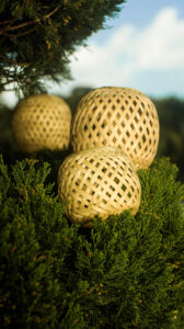 shillongbamboo 02 Bamboo India