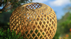 shillongbamboo 12 Bamboo India