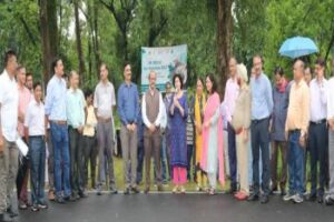 watermarking 21 Bamboo India