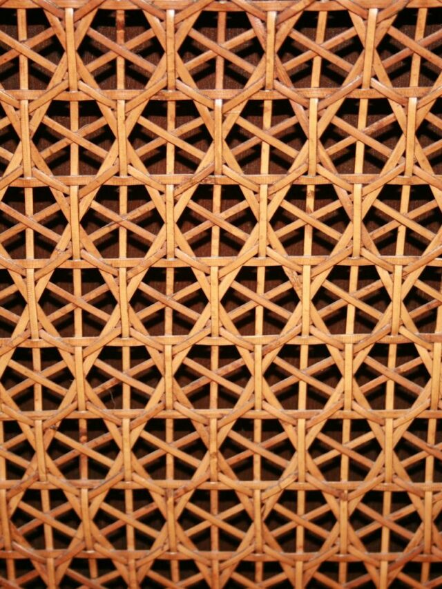 Bamboo Product Price List in India 2025