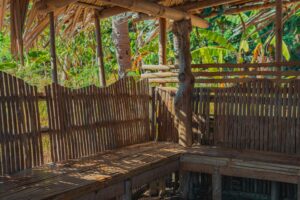 pexels ian panelo 20737295 1 Bamboo India