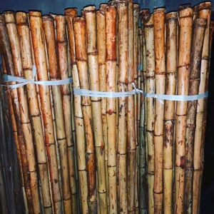 150203737 134642198552700 1780388677243004867 n Bamboo India