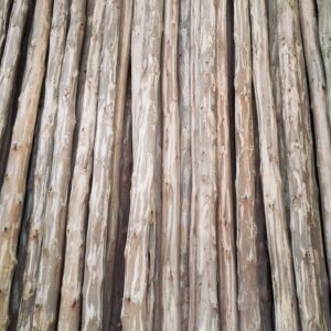 152845095 358285775508285 207990671528894814 n Bamboo India