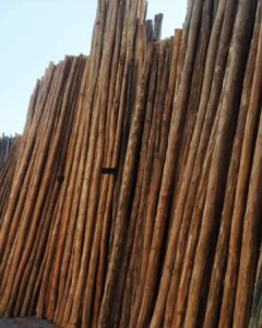 154747527 1370492053296926 3271656424277254145 n Bamboo India