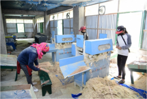 1683784004185 Bamboo India