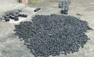 1683784334492 Bamboo India