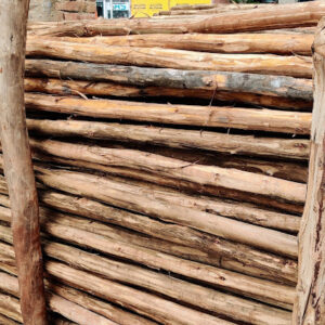 2021 09 11 1 Bamboo India