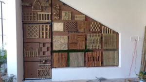 2021 12 29 Bamboo India