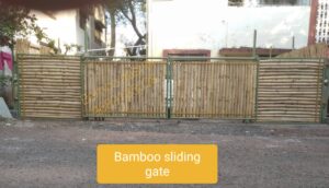 20210725 200739 Bamboo India