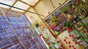 2022 02 21 Bamboo India