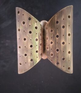 20220318 144535 Bamboo India