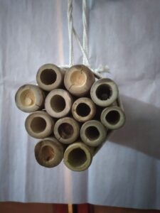 20220318 180215 min Bamboo India