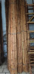 2023 02 11 1 Bamboo India