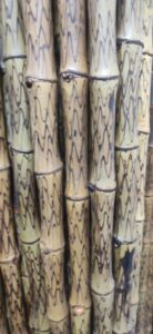 2023 02 11 Bamboo India