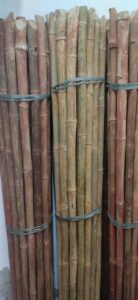 2023 02 11 2 Bamboo India