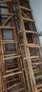 2023 02 11 3 Bamboo India