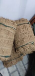 2023 02 11 7 Bamboo India