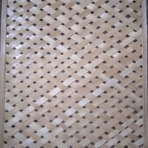 20231130 095527 Bamboo India