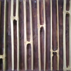 20231130 100249 Bamboo India