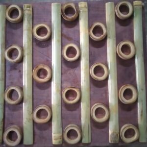 20231130 100332 Bamboo India