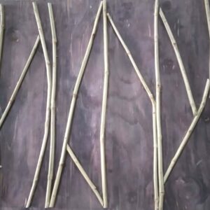 20231130 100727 Bamboo India