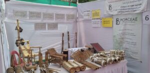 20240425 092857 Bamboo India