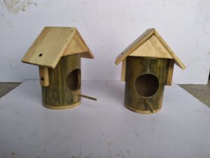 20240913 100139 min Bamboo India