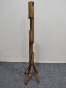 20240928 182252 min Bamboo India