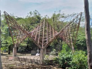 20241014 120824 Bamboo India