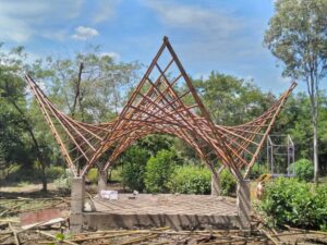 20241014 121154 Bamboo India