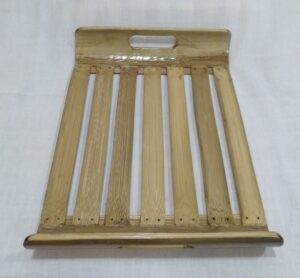 20241104 115335 Bamboo India