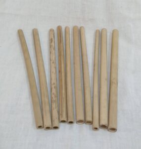 20241104 121807 Bamboo India