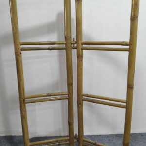 20241104 123540 Bamboo India