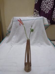 20241104 165126 Bamboo India