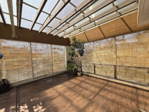 2025 03 28 Bamboo India