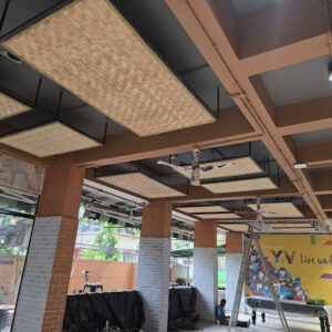 2025 04 06 Bamboo India