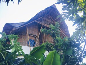 355418404 987365995632072 886973906103205860 n Bamboo India