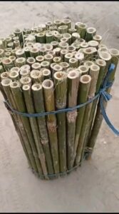 412672192 1073110130399282 1769405732134179379 n Bamboo India