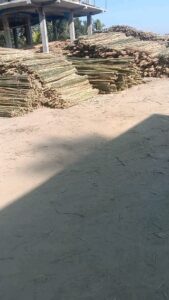 412718483 735893488435895 2737065529414250974 n Bamboo India