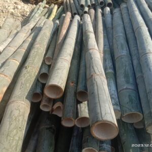 418013010 1463805214482761 9155002861962574381 n Bamboo India