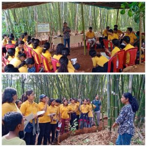 462859365 2071885159880733 3186756631117088331 n Bamboo India