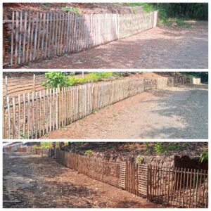 464504296 556939600272452 2510329871726872365 n Bamboo India