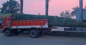 466092772 1247522409827501 7495681794330603789 n Bamboo India