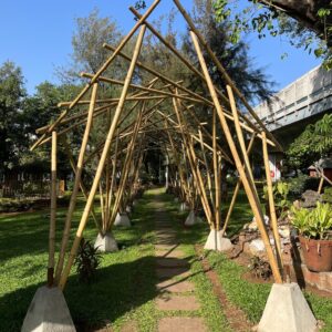 474906704 577489881789989 4073109610501598636 n Bamboo India