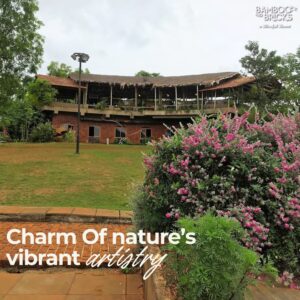 487956738 1082854840527781 7521545449330408893 n Bamboo India