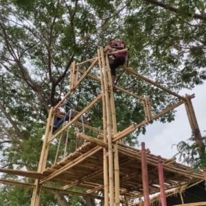 AP Creation 12 Bamboo India