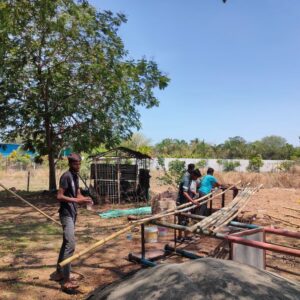 AP Creation 16 Bamboo India