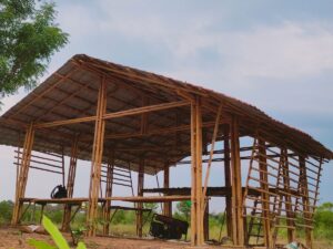 AP Creation 19 Bamboo India