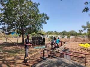 AP Creation 2 Bamboo India