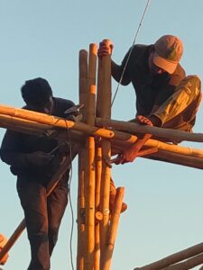 AP Creation 23 Bamboo India